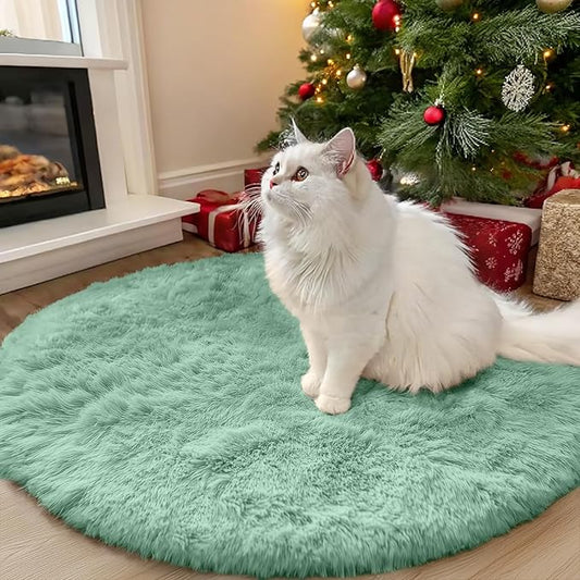 OLANLY Mint Green Round Rugs for Bedroom - Machine Washable, 3x3 Feet Circle Area Rugs for Living Room, Soft and Fluffy Shaggy Carpet for Teen Girl and Boys, Dorms, Nursery Rooms, Home Decor Aesthetic