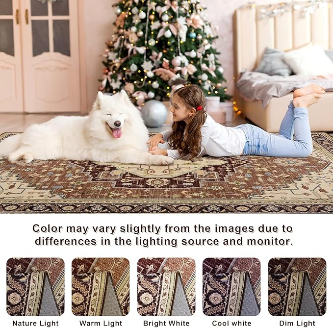 2x3 Mousse Brown Small Area Rug for Entryway, Soft Washable Rugs with Non-Slip Backing for Bedroom Kitchen, Vintage Throw Carpet Laundry Entry Front Door Decor