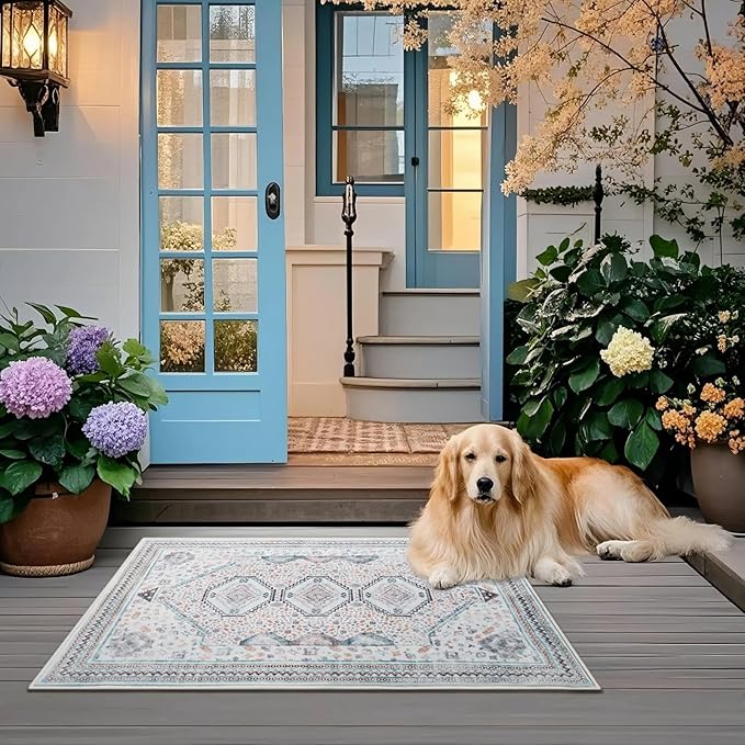 Maxsoft 2X3 Area Rug, Machine Washable for Entryway Rugs, Soft Non-Slip Low Pile for Front Door Mat, Stain Resistant Rug for Kitchen,Bathroom Rugs Fit Under Door (Beige Blue)