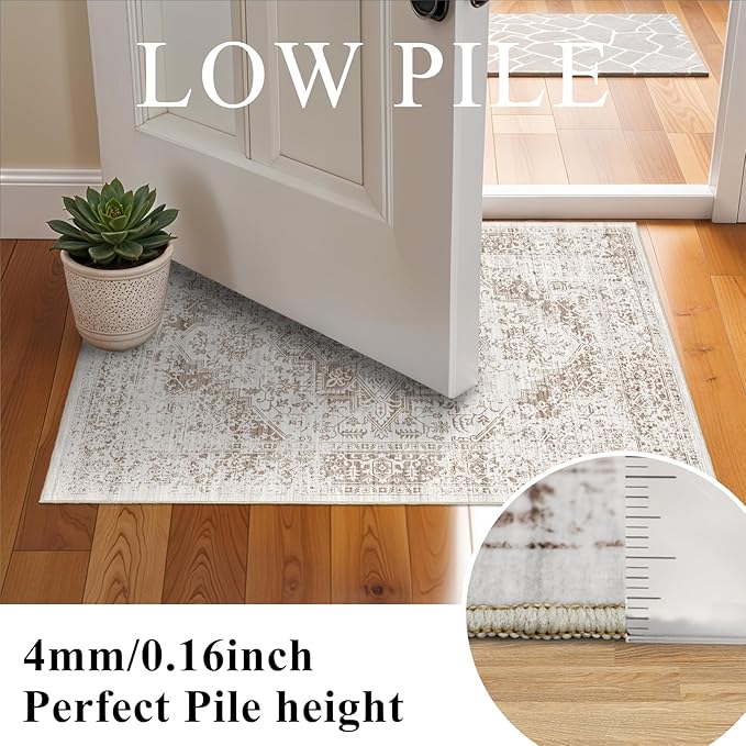 Washable 2x3 Entryway mat - Small Indoor Area Rug for Entrance with Vintage Non-Slip Low-Pile Traditional Medallion Indoor Rug with Stain Resistant Accent Distressed Carpet Thin Rug (Bridge)