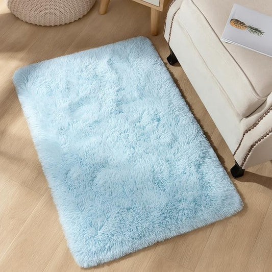 YJ.GWL Area Rugs for Bedroom, 2x3 Door Mat Washable Small Light Blue Bedside Rug,Fluffy Shaggy Entryway Rugs for Living Room, Shag Indoor Floor Carpet for Kids Boy and Girls, Home Decor Aesthetic