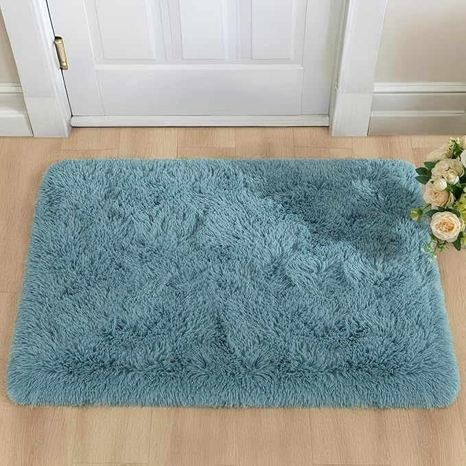 YJ.GWL Area Rugs for Bedroom, 2x3 Door Mat Washable Small Teal Bedside Rug,Fluffy Shaggy Entryway Rugs for Living Room, Shag Indoor Floor Carpet for Kids Boy and Girls, Home Decor Aesthetic