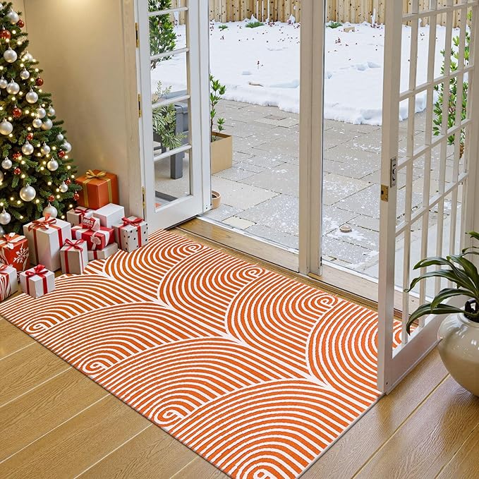 Tiffasea Small Outdoor Rug 3'x5', Front Door Mat Outdoor Entrance Machine Washable Rugs Cotton Hand Woven Entryway Rugs Indoor Door Mat Reversible Throw Rugs Modern Area Rug for Porch/Backyard