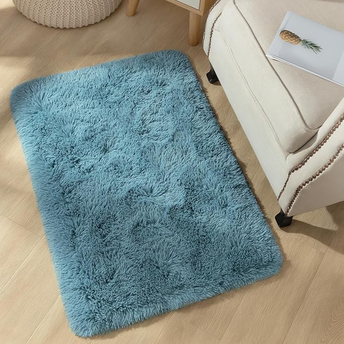 YJ.GWL Area Rugs for Bedroom, 2x3 Door Mat Washable Small Teal Bedside Rug,Fluffy Shaggy Entryway Rugs for Living Room, Shag Indoor Floor Carpet for Kids Boy and Girls, Home Decor Aesthetic