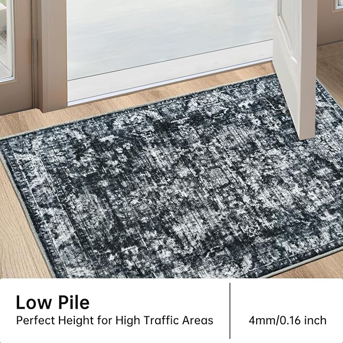 2x3 Entryway Rug, Non-Slip Washable Door Mat, Modern Soft Indoor Entrance Rugs, Foldable Small Throw Rug for Front Door Bedroom Kitchen Entryway Bathroom Floor