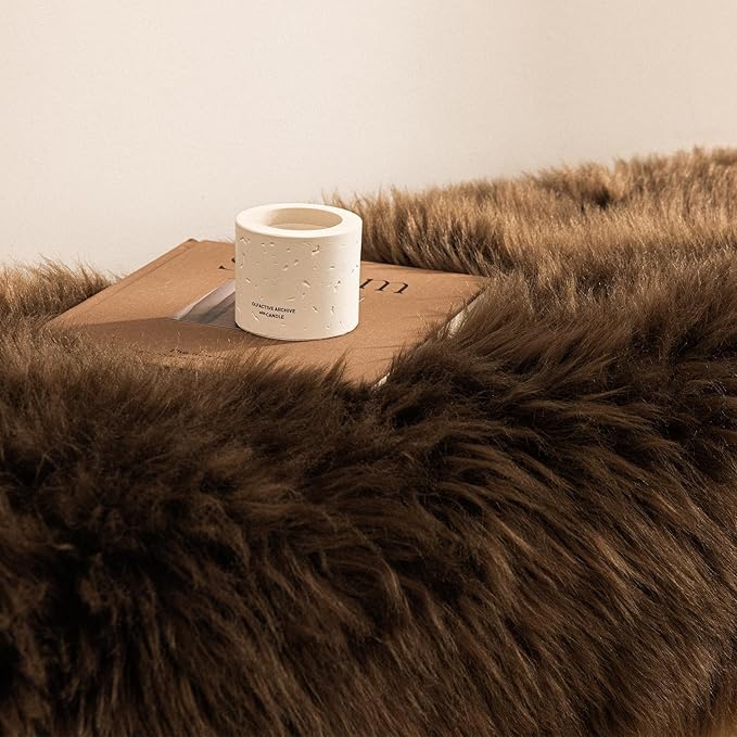 Ashler Faux Fur Rug, Fluffy Shaggy Area Rug Ultra Soft 2.3 x 3.3 Feet Sheepskin Fur Rug, Dark Coffee Fuzzy Rug Machine Washable Shag Rug, Nursery Decor Throw Rugs for Bedroom, Kids Room, Living Room