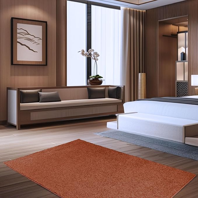 Solid Color Area Rugs Rust - 4' Pentagon, Indoor, Stain & Fade Resistant, Perfect for Living Room, Bedroom, Dining Room, Entryway, Doorway, Pet & Kids Friendly Rug, Wedding, Made in USA