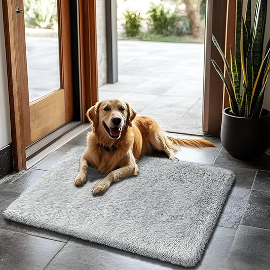 2x3 Fluffy Area Rugs for Bedroom Living Room,Small Soft Shag Fuzzy Rug Non-Shedding Indoor Plush Carpet for Kids Bedroom Nursery Dorm Home Decor,Grey