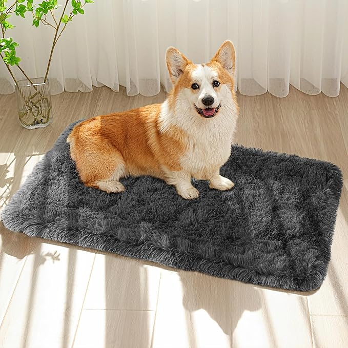 Grey Rug for Bedroom, 2x3 Fluffy Area Rugs for Kids Playroom, Furry Carpet for Nursery Room, Shaggy Rug for Teen Living Room, Thick Fuzzy Plush Rug for Dorm, Cute Room Decor for Baby
