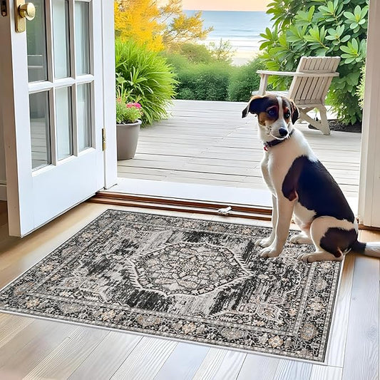 Washable Area Rugs 2x3 Entryway: Soft Ultra Thin Low Pile Mat Machine Washable Indoor Doormat Lightweight Entry Rug Anti Slip Backing Rugs for Living Room Bedroom Kitchen 2'x3' Black
