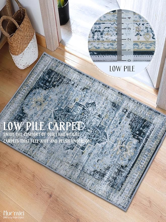 2x3 Door Mat Entryway Rug, Small Soft Non-Slip Machine Washable Area Rug Low-Pile Boho Rug Oriental Throw Rug Carpet for Living Room Bedroom Kitchen Entrance