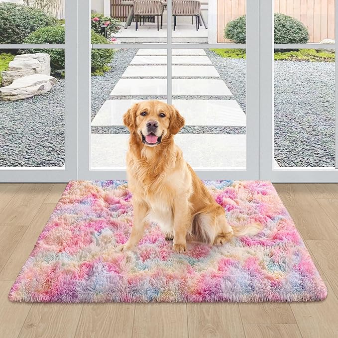 2x3 Small Area Rug Unicorn Rainbow Rugs for Girls Bedroom Soft Fluffy Shag Fuzzy Pink Carpet Princess Rug for Girls Kids Toddler Room Nursery Home Decor Throw Rugs Indoor Inside Front Mat