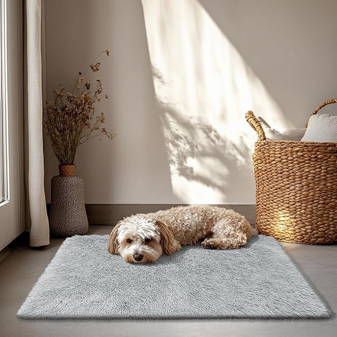 2x3 Fluffy Area Rugs for Bedroom Living Room,Small Soft Shag Fuzzy Rug Non-Shedding Indoor Plush Carpet for Kids Bedroom Nursery Dorm Home Decor,Grey
