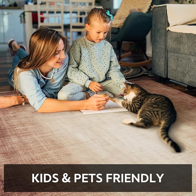 4x6 Area Rugs for Living Room, Machine Washable Non Slip Area Rug Modern Abstract Indoor Rug Carpet Ultra Soft Rugs for Bedroom Dining Room Playroom Bedside Office,Rust Red