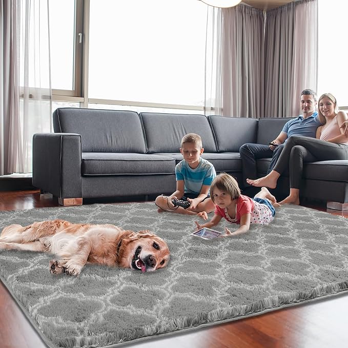 4x5.8 Plush Area Rug, High Pile Rugs for Living Room, Ultra Soft Indoor Carpet for Bedroom, Kids Room, Playroom, Home Decor, Geometric, Light Grey/White