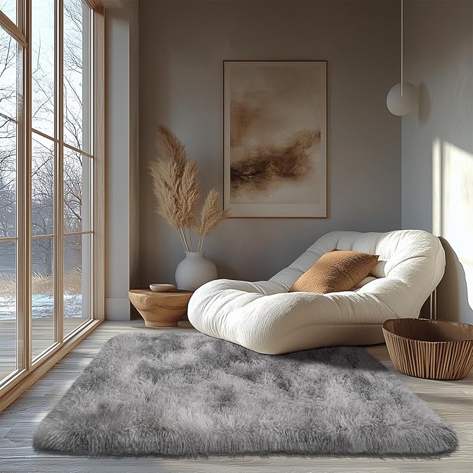 Zentavio Area Rugs for Living Room Small Carpet for Bedroom 3x5 Bedside Washable Soft Fluffy Shag Aesthetic Plush High Pile Throw Rug for Nursery Kids Room Dorm Room