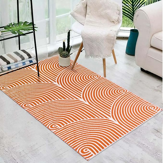 Tiffasea Small Outdoor Rug 3'x5', Front Door Mat Outdoor Entrance Machine Washable Rugs Cotton Hand Woven Entryway Rugs Indoor Door Mat Reversible Throw Rugs Modern Area Rug for Porch/Backyard