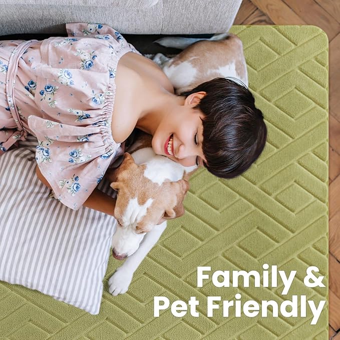 Ultra Soft Green Area Rug for Bedroom, 4x6 Modern Geometric Shag Rugs with Nonslip Backing for Living Room, Washable Fuzzy Carpet for Cozy Kids Room Nursery
