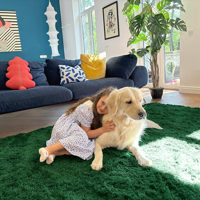 OLANLY 3x5 Machine Washable Small Bedside Rug, Soft Fluffy Shaggy Rugs for Living Room, Bedroom, Indoor Floor Carpet for Kids Girls and Boys, Preppy Dorms, Nursery, Home Decor Aesthetic, Dark Green