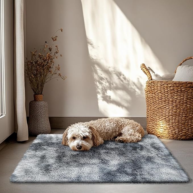 2x3 Fluffy Area Rugs for Bedroom Living Room,Small Soft Shag Fuzzy Rug Non-Shedding Indoor Plush Carpet for Kids Bedroom Nursery Dorm Home Decor,Mottling Black