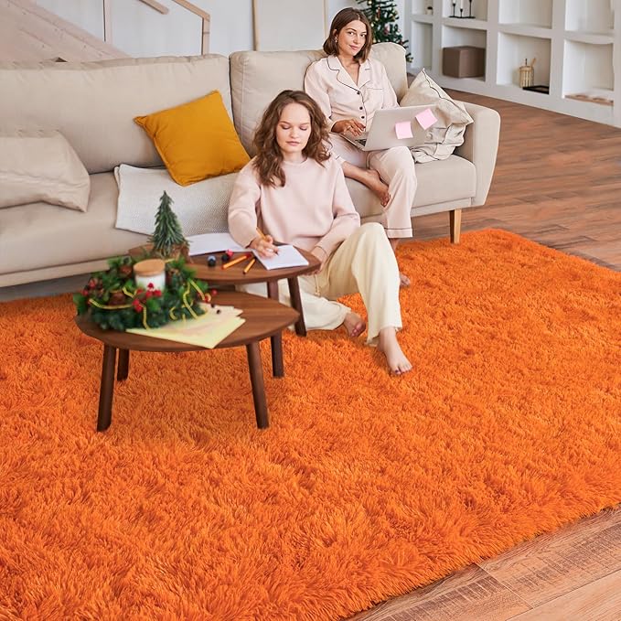 5'x7' Super Fluffy Rug for Bedroom, Modern Shag Orange Area Rugs, Soft and Cozy Plush Large Carpet for Kids, Girls Boys and Teens Decorations for Living Room Dorm Nursery Classroom, Orange