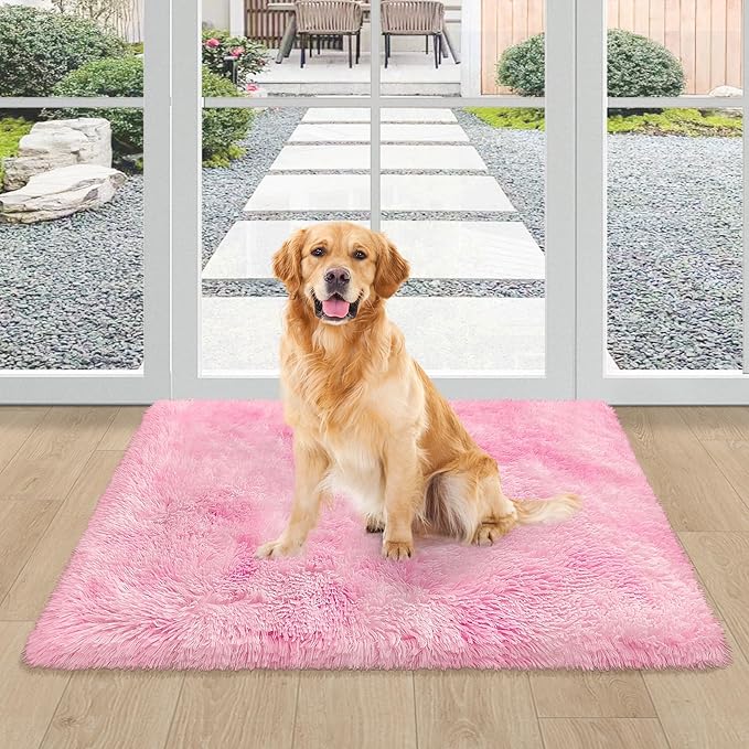 2x3 Small Pink Rug for Girls Room Soft Plush Pink Fluffy Rug for Bedroom Girls Kids Room Dorm Bedside Living Room, Door Mat Indoor Entrance Floor Shag Carpet Throw Rugs for Entryway