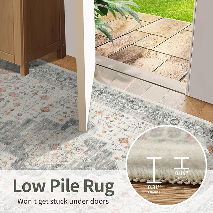 4x6 Washable Area Rug for Living Room, Vintage Neutral Boho Rugs for Office, Dining Room, Kids Room, Farmhouse, Durable Low Pile Non Slip Carpet for High Traffic Areas, Taupe