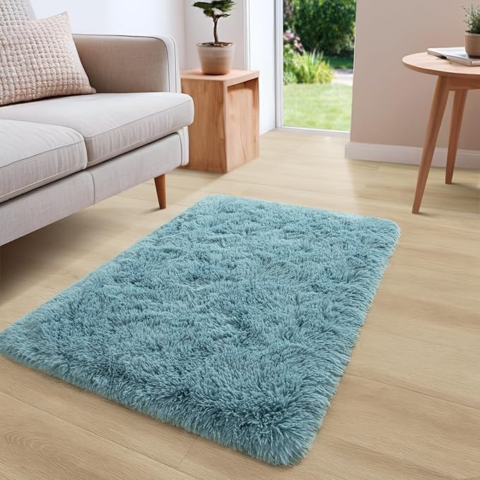 YJ.GWL Area Rugs for Bedroom, 2x3 Door Mat Washable Small Teal Bedside Rug,Fluffy Shaggy Entryway Rugs for Living Room, Shag Indoor Floor Carpet for Kids Boy and Girls, Home Decor Aesthetic