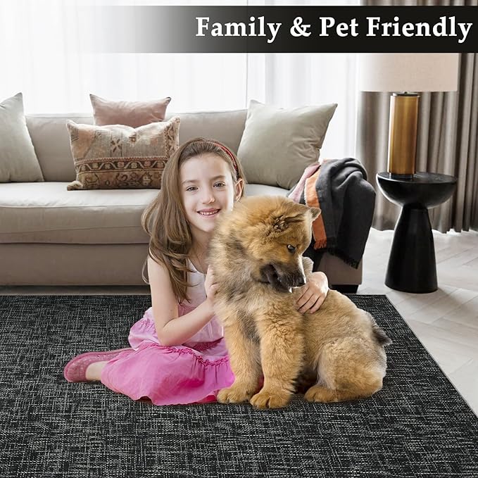 Bedroom Area Rug 4x6 Modern Abstract Area Rug Stain Resistant Small Living Room Rug Contemporary Dining Room Rug Non-Slip Solid Rug Aesthetic Accent Floor Carpet for Kitchen Office, Black