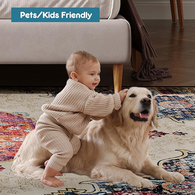 Dripex 6x9 Area Rugs, Machine Washable Non Slip Distressed Boho Rugs, Area Rug for Living Room, No Pile Lightweight Vintage Rug, Soft Accent Carpet for Dining Room,Bedroom,Multi