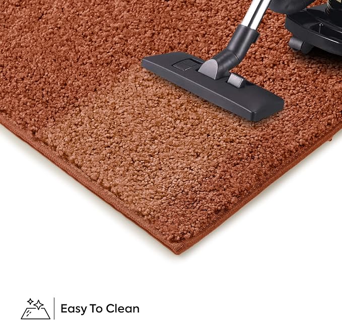 Furnish my Place Modern Plush Solid Color Rug - Rust, 10' x 11', Pet and Kids Friendly Rug. Made in USA, Rectangle, Area Rugs Great for Kids, Pets, Event, Wedding