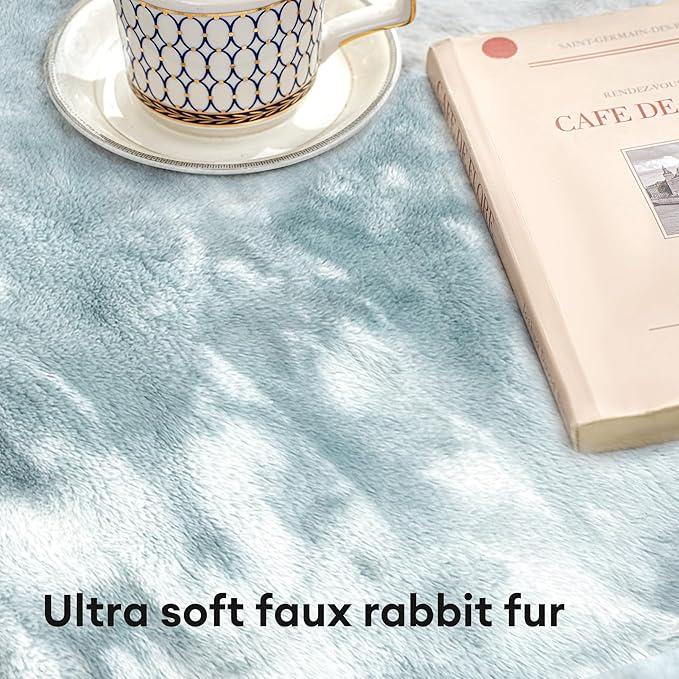 Ultra Soft Area Rug 2x3 Feet, Faux Fur Cozy Fuzzy Area Rug, Indoor Modern Plush Washable Shaggy Carpet for Bedroom Living Room Home Decor, Fluffy Carpet for Kids Room,Nursery,Dorm (Blue)