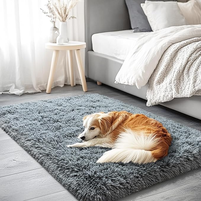 2x3 Area Rug for Bedroom, Small Grey Rugs for Living Room Nursery Kids Room Dorm Home Decor Aesthetic, Fluffy Shaggy Rug with 4 Anti-Slip Carpet Tapes