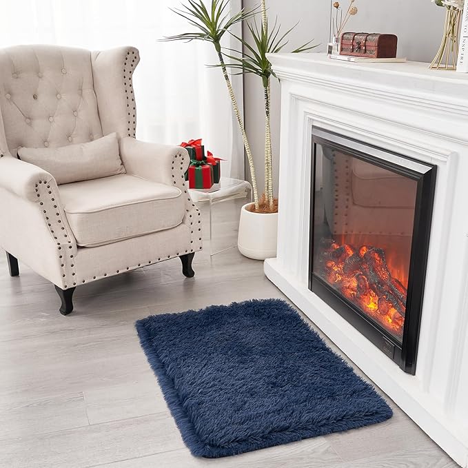 2×3 Small Rugs for Bedroom, Super Soft Living Room Shaggy Non-Slip Fluffy Furry Rug, Indoor Navy Blue Floors Carpet, for Kids Girls Boys Room, Dorm Nursery RoomsHome Decor Aesthetic