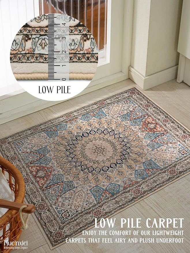 2x3 Door Mat Entryway Area Rug Small Soft Non-Slip Machine Washable Rug Low-Pile Boho Rug Oriental Throw Rug Carpet for Living Room Bedroom Kitchen Entrance