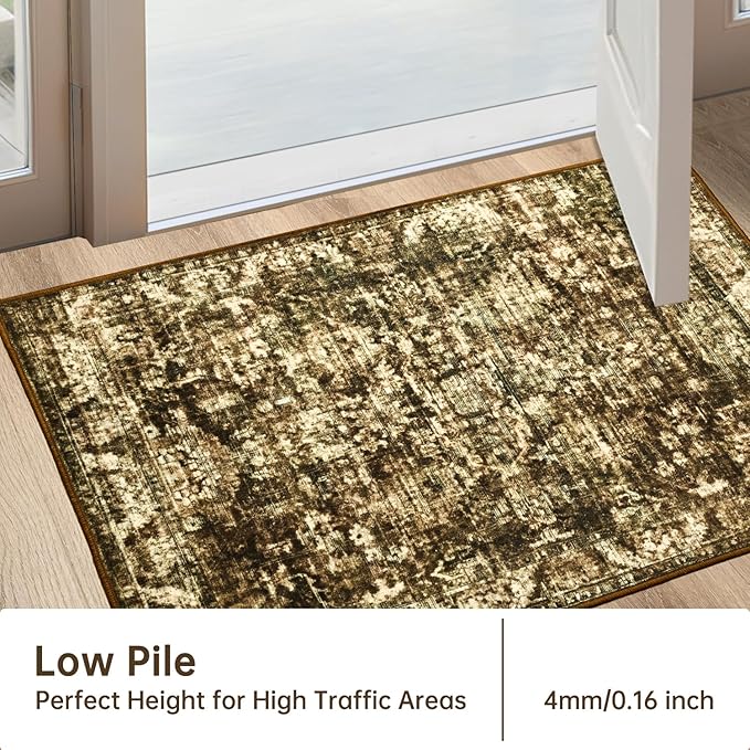 2x3 Vintage Abstract Entryway Rug, Non-Slip Washable Door Mat Indoor Entrance Rugs, Foldable Small Accent Throw Rug Floor Carpet for Front Door Bedroom Kitchen Entryway Bathroom