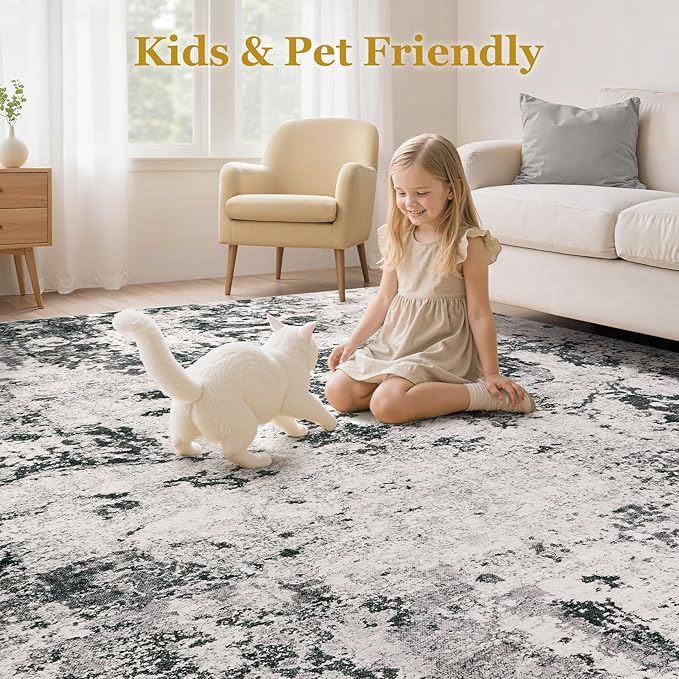Area Rugs for Living Room: 5x7 Abstract Washable Rug Large Soft Stain Resistant Non-Slip Backing for Bedroom Dining Room Indoor Home Office Carpet for Kids Pet Friendly Families - Dark Grey
