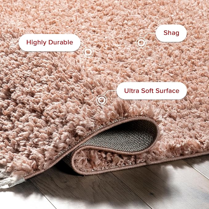 nuLOOM Neva Modern Tasseled Shag Accent Rug, 2' x 3', Pink, Rectangular, 1.55" Thick