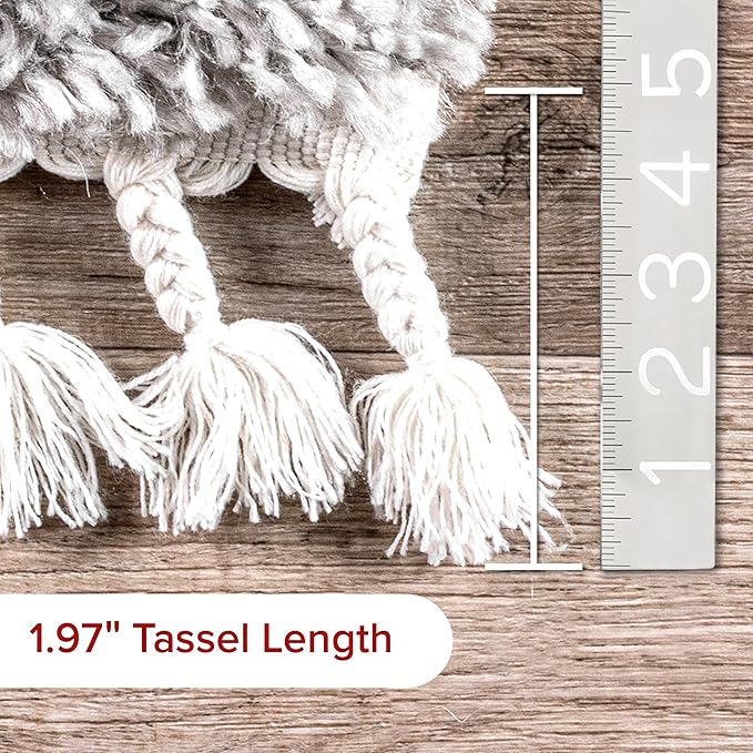 nuLOOM Neva Modern Tasseled Shag Accent Rug, 2x3, Grey