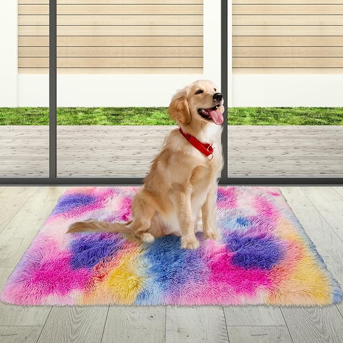 2x3 ft Small Throw Rugs Furry, Non Slip Mini Area Rug, Fluffy Tie-Dyed Rainbow Carpet,for Bedroom Door Entryway Indoor Inside Front Entrance Dog Mat, Home Decor Aesthetic, Nursery