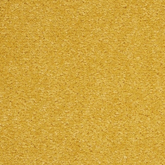 Nourison Essentials Indoor/Outdoor Yellow 8' x 10' Area Rug, Easy Cleaning, Non Shedding, Bed Room, Living Room, Dining Room, Backyard, Deck, Patio (8x10)