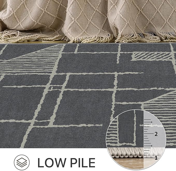 Bavni 5x7 Rug, Abstract Machine Washable Rug Non-Slip, Soft Modern Lightweight Area Rug, Stain Resistant Rugs for Living Room, Bedroom, Dining Room, Dark Gray