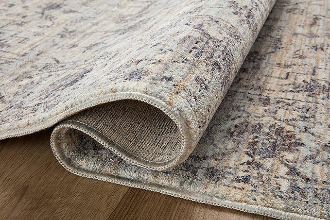 Loloi Sorrento Collection 3'-11" x 5'-7" Accent Rug in Mist/Charcoal - Vintage Inspired Patterned Area Rug, Unique Area Rug for Living Room, Bedroom, Dining Area