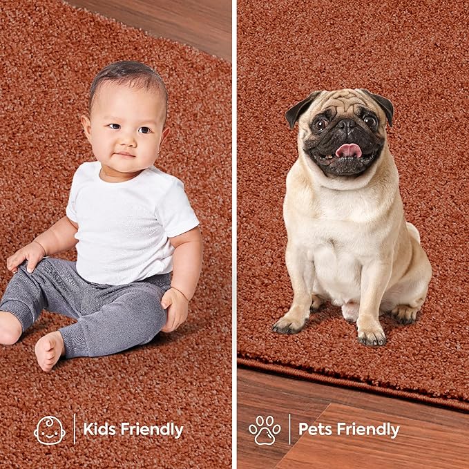 Furnish my Place Modern Plush Solid Color Rug - Rust, 10' x 11', Pet and Kids Friendly Rug. Made in USA, Rectangle, Area Rugs Great for Kids, Pets, Event, Wedding