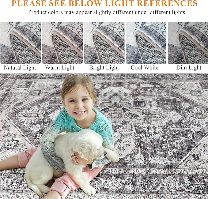 Vintage Area Rug, 9x12 Washable Rugs for Living Room Bedroom Indoor Throw Rug, Distressed Boho Country Accent, Thin Low-Pile Floor Carpet for Kids Pet (Multi/Brown)