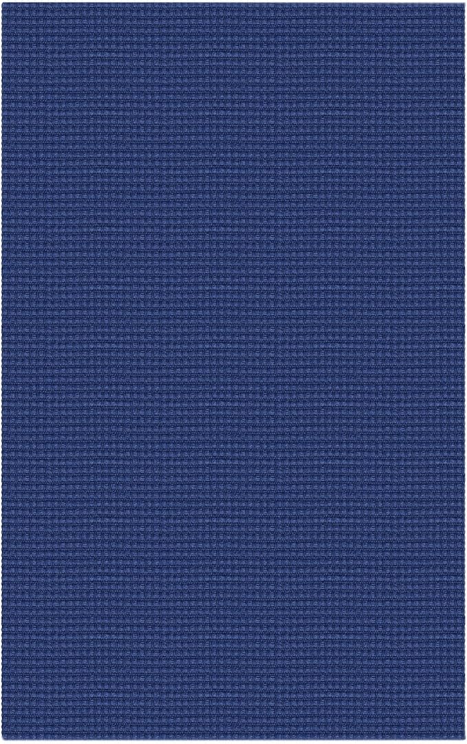 Small Braided Rugs 2x3 Ft Area Rugs for Entryway Washable Rug Throw Rugs Rubber Backed Cotton Woven Door Mat Indoor Entrance Front Door Rugs for Foyer Bathroom Kitchen, Royal Blue/Navy