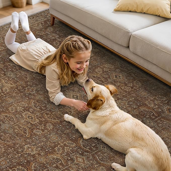 10X14 Area Rugs Machine Washable Rugs for Living Room, Vintage Boho Large Rugs for Bedroom Dining Room, Non Slip Indoor Soft Distressed Lightweight Thin Low Pile Carpet, Rustic Brown
