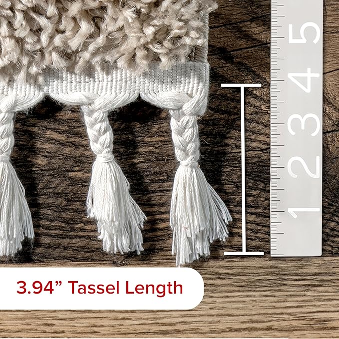 nuLOOM Neva Modern Tasseled Shag Area Rug, 5x8, Beige