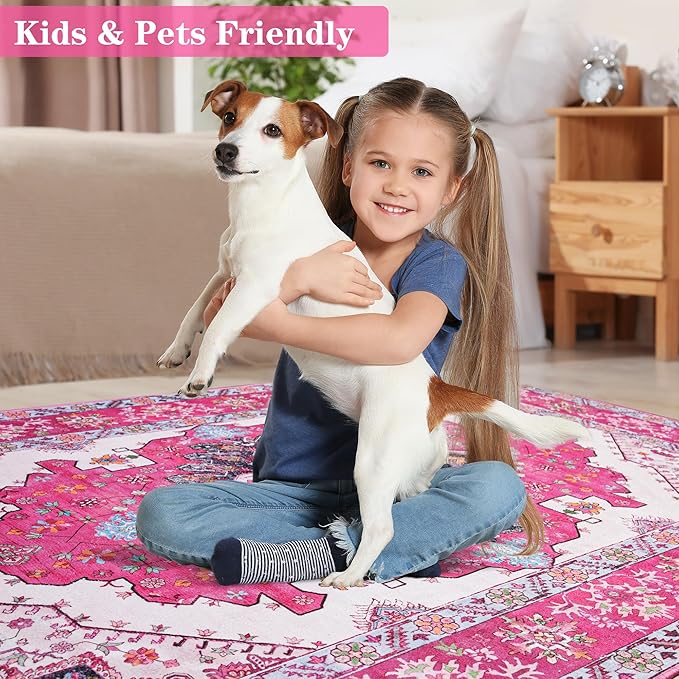 Noahas Front Door Mat Indoor Outdoor Entrance,2x3 Small Hot Pink Area Rugs Vintage Machine Washable Rugs Non-Slip Low Pile Carpets for Entryway Porch Bathroom Kitchen Bedroom Laundry Room Home Decor