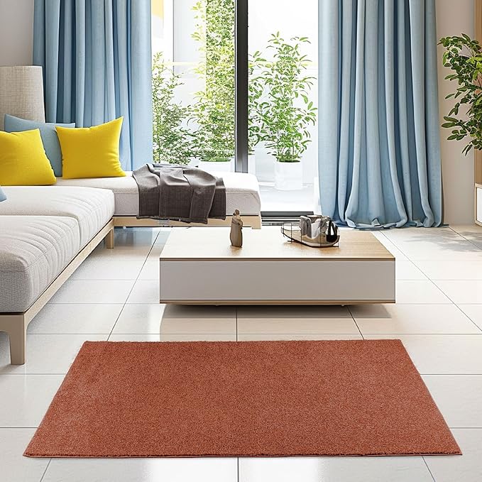 Solid Color Area Rugs Rust - 3' Pentagon, Indoor, Stain & Fade Resistant, Perfect for Living Room, Bedroom, Dining Room, Entryway, Doorway, Pet & Kids Friendly Rug, Wedding, Made in USA